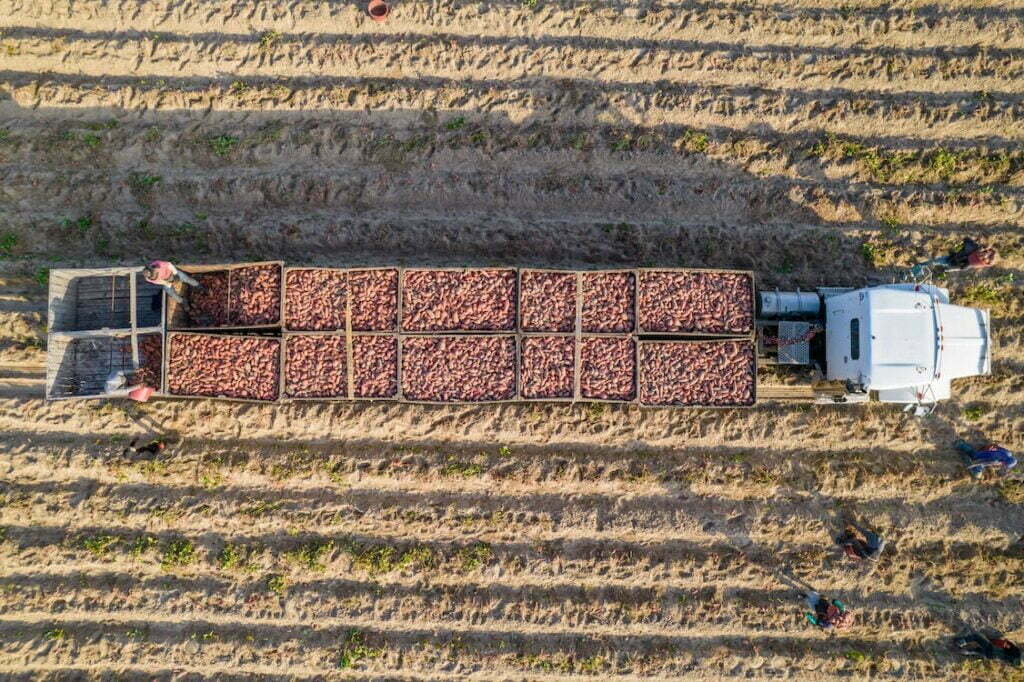 A importância da telemetria para o setor alimentício